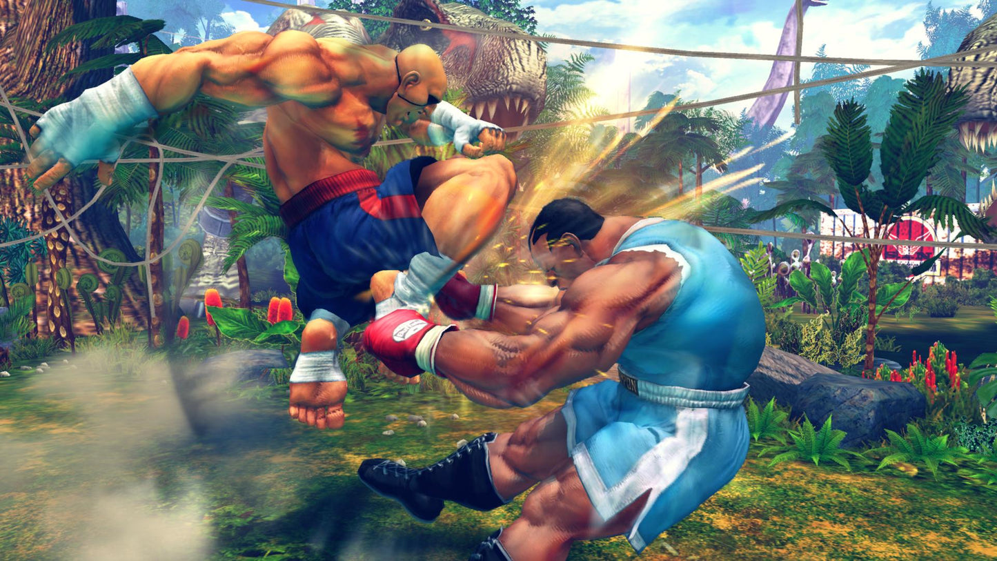 [US]Ultra Street Fighter IV(Steam)